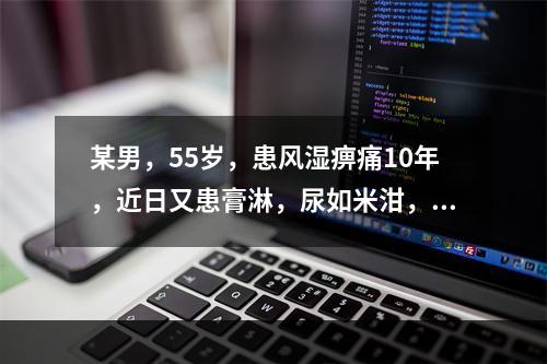 某男，55岁，患风湿痹痛10年，近日又患膏淋，尿如米泔，宜选