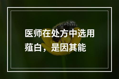 医师在处方中选用薤白，是因其能