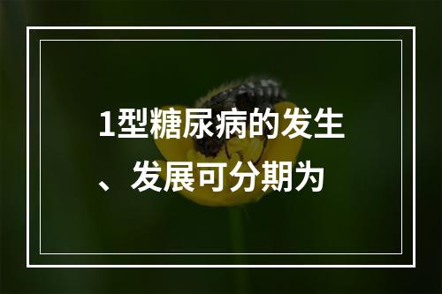 1型糖尿病的发生、发展可分期为