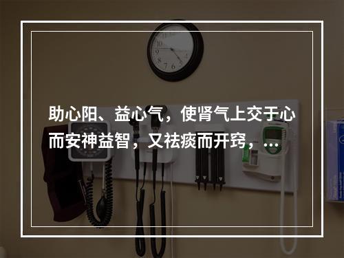 助心阳、益心气，使肾气上交于心而安神益智，又祛痰而开窍，善治