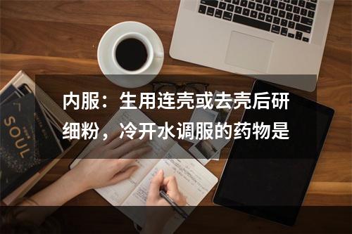 内服：生用连壳或去壳后研细粉，冷开水调服的药物是