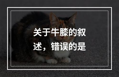 关于牛膝的叙述，错误的是