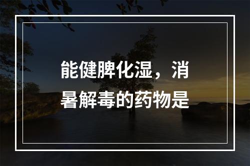 能健脾化湿，消暑解毒的药物是