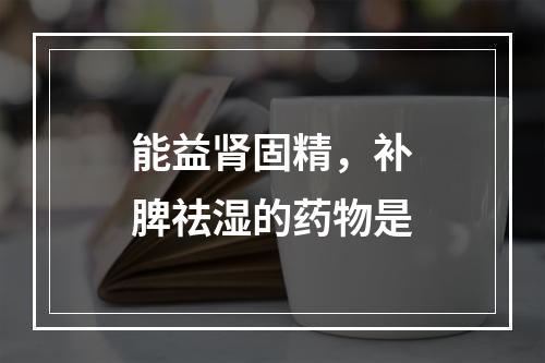 能益肾固精，补脾祛湿的药物是