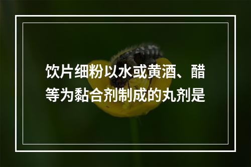 饮片细粉以水或黄酒、醋等为黏合剂制成的丸剂是