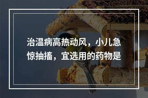 治温病高热动风，小儿急惊抽搐，宜选用的药物是