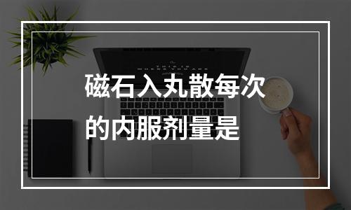 磁石入丸散每次的内服剂量是