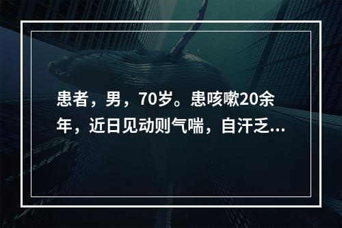 患者，男，70岁。患咳嗽20余年，近日见动则气喘，自汗乏力，