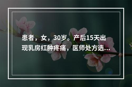 患者，女，30岁。产后15天出现乳房红肿疼痛，医师处方选用蒲