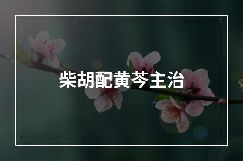 柴胡配黄芩主治