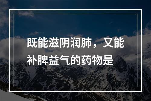 既能滋阴润肺，又能补脾益气的药物是