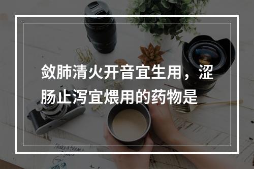 敛肺清火开音宜生用，涩肠止泻宜煨用的药物是