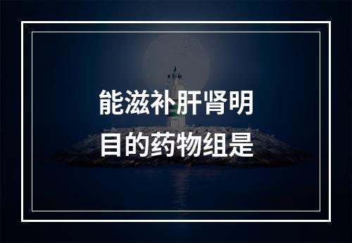 能滋补肝肾明目的药物组是