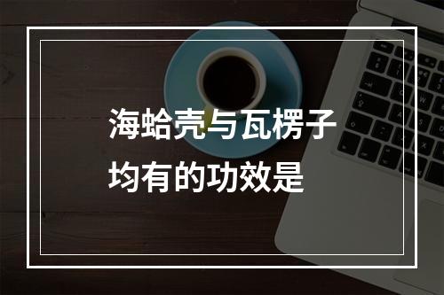 海蛤壳与瓦楞子均有的功效是