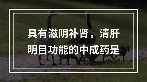 具有滋阴补肾，清肝明目功能的中成药是