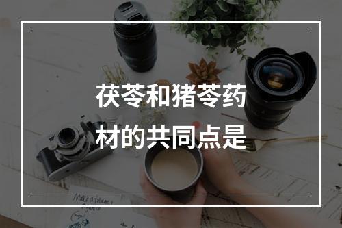 茯苓和猪苓药材的共同点是