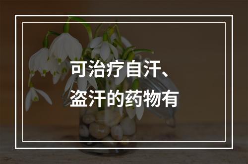 可治疗自汗、盗汗的药物有