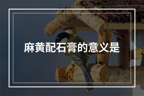 麻黄配石膏的意义是