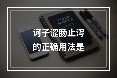 诃子涩肠止泻的正确用法是