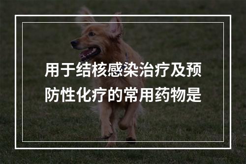 用于结核感染治疗及预防性化疗的常用药物是