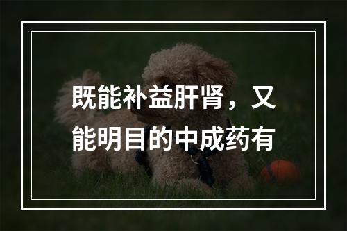 既能补益肝肾，又能明目的中成药有