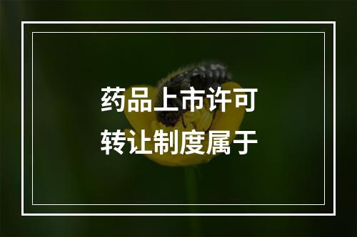 药品上市许可转让制度属于