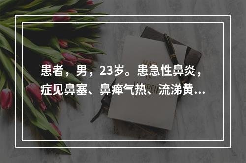 患者，男，23岁。患急性鼻炎，症见鼻塞、鼻瘅气热、流涕黄稠。