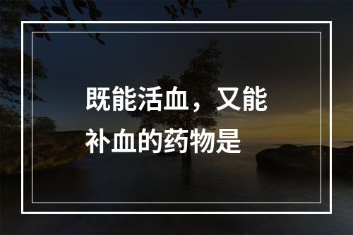 既能活血，又能补血的药物是