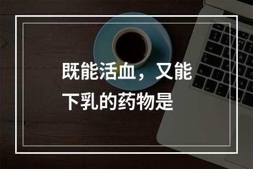 既能活血，又能下乳的药物是