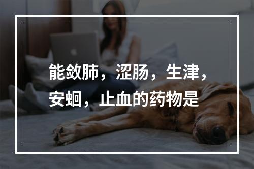 能敛肺，涩肠，生津，安蛔，止血的药物是