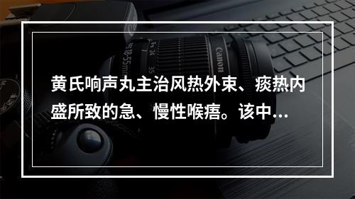 黄氏响声丸主治风热外束、痰热内盛所致的急、慢性喉痦。该中成药