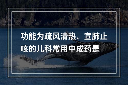 功能为疏风清热、宣肺止咳的儿科常用中成药是