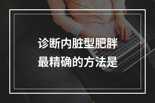 诊断内脏型肥胖最精确的方法是