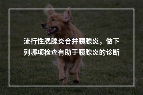 流行性腮腺炎合并胰腺炎，做下列哪项检查有助于胰腺炎的诊断