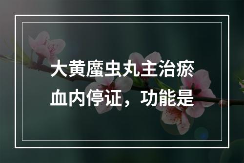 大黄䗪虫丸主治瘀血内停证，功能是