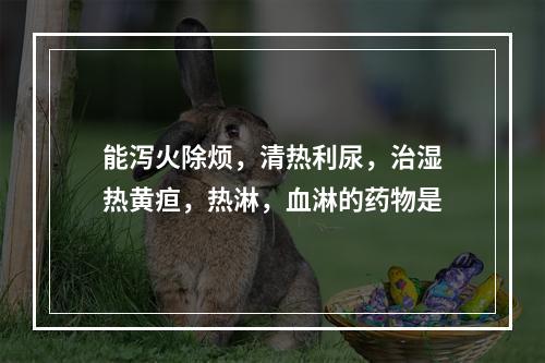 能泻火除烦，清热利尿，治湿热黄疸，热淋，血淋的药物是