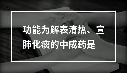 功能为解表清热、宣肺化痰的中成药是