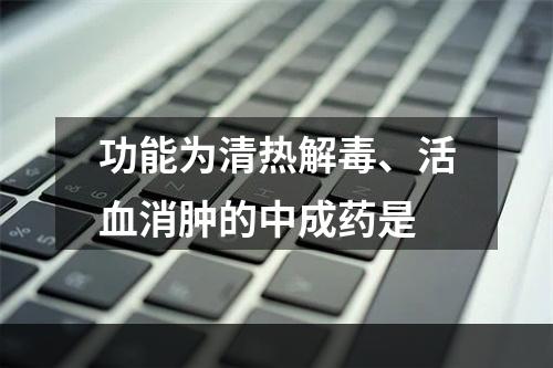 功能为清热解毒、活血消肿的中成药是