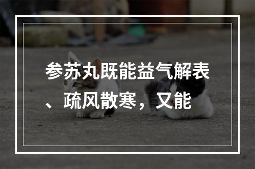 参苏丸既能益气解表、疏风散寒，又能