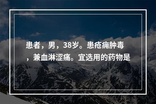 患者，男，38岁。患疮痈肿毒，兼血淋涩痛。宜选用的药物是