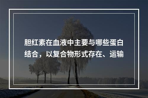 胆红素在血液中主要与哪些蛋白结合，以复合物形式存在、运输