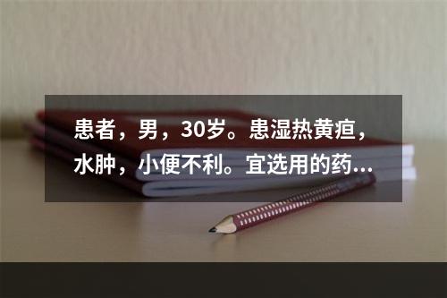 患者，男，30岁。患湿热黄疸，水肿，小便不利。宜选用的药物是