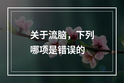 关于流脑，下列哪项是错误的