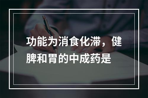 功能为消食化滞，健脾和胃的中成药是