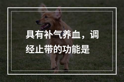 具有补气养血，调经止带的功能是