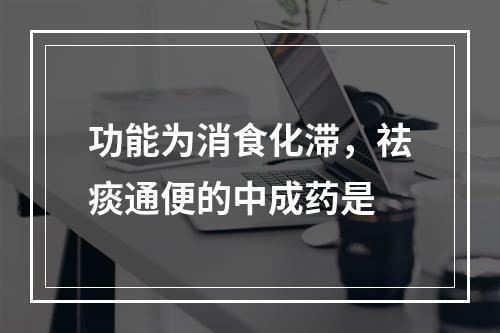 功能为消食化滞，祛痰通便的中成药是