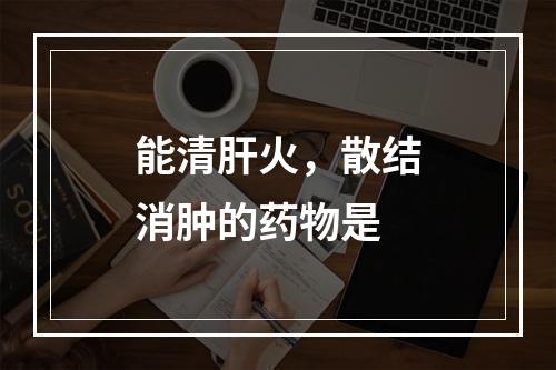 能清肝火，散结消肿的药物是