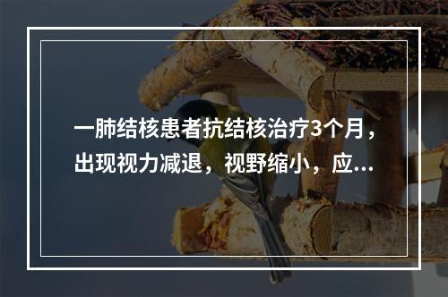 一肺结核患者抗结核治疗3个月，出现视力减退，视野缩小，应停下