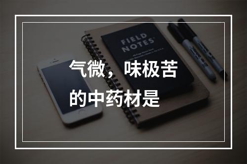 气微，味极苦的中药材是