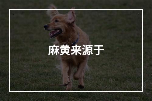 麻黄来源于